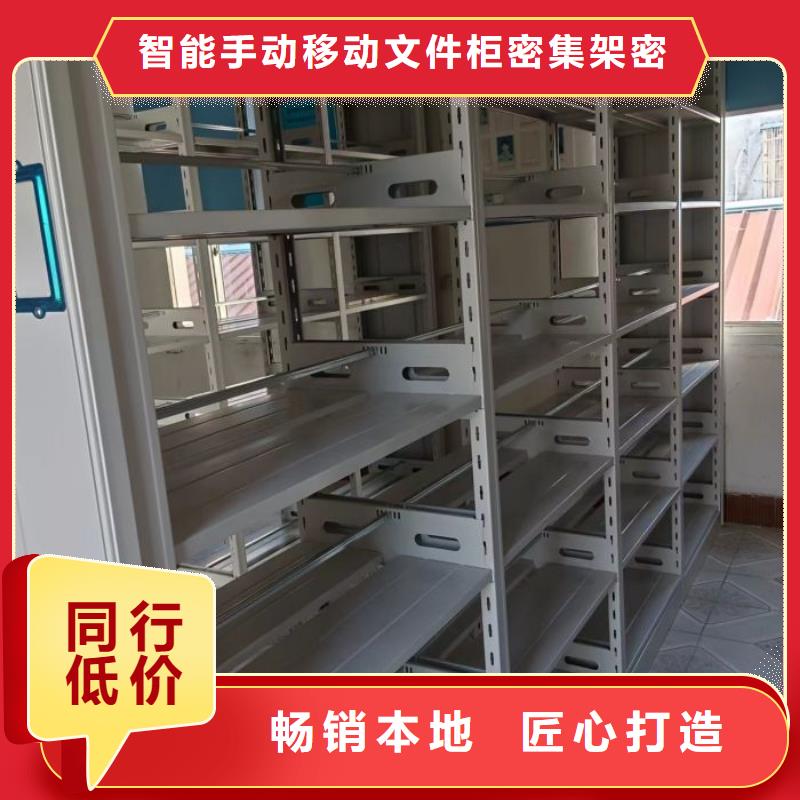 至诚服务【泽信】网片式油画密集架