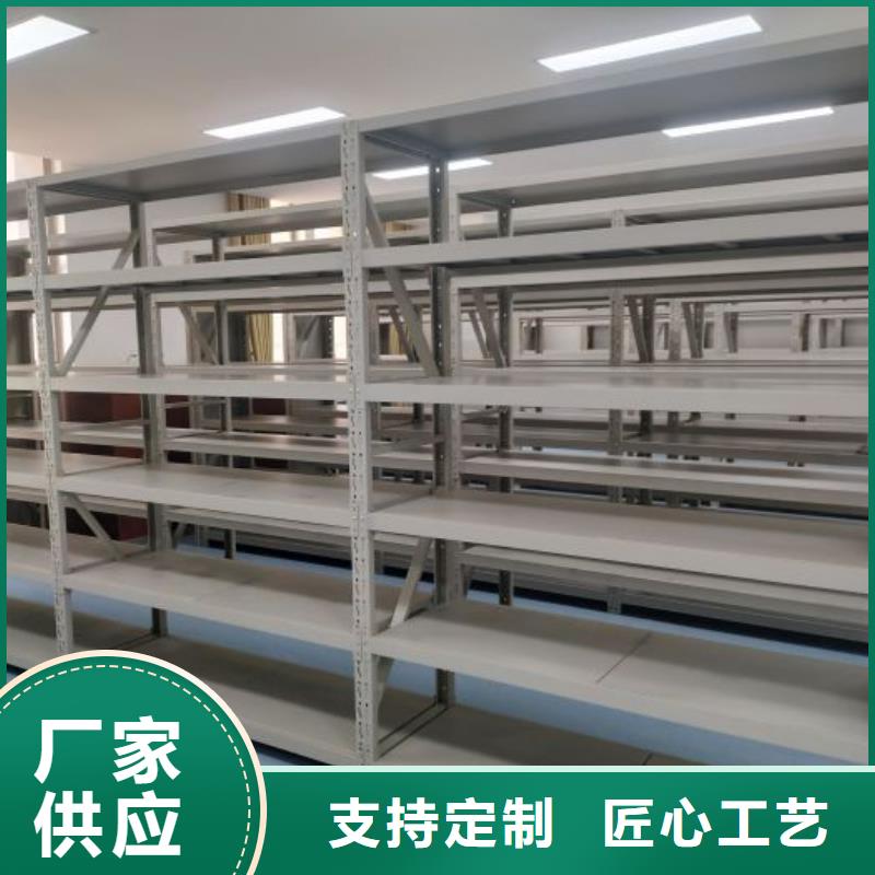 樟木密集架产品实物图