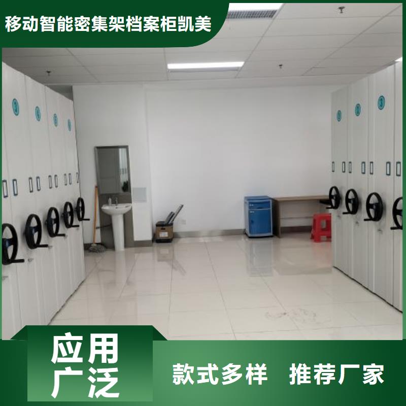 销售专卖【凯美】档案数字化密集柜