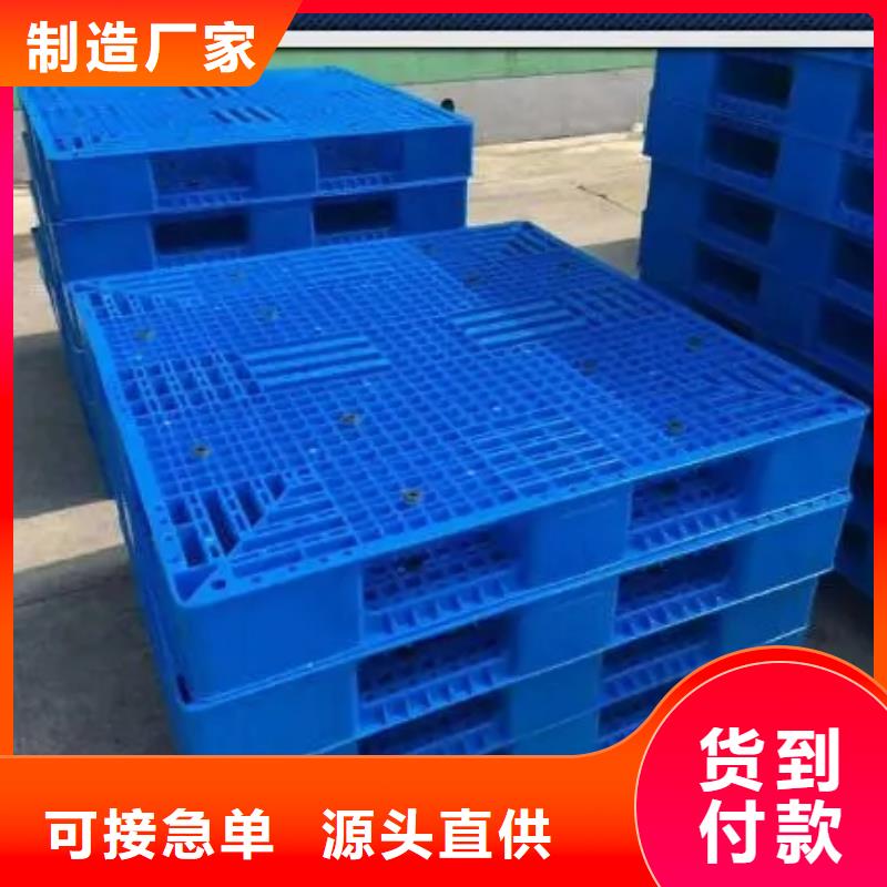 杀菌锅塑料垫板轻型输送带实力派厂家