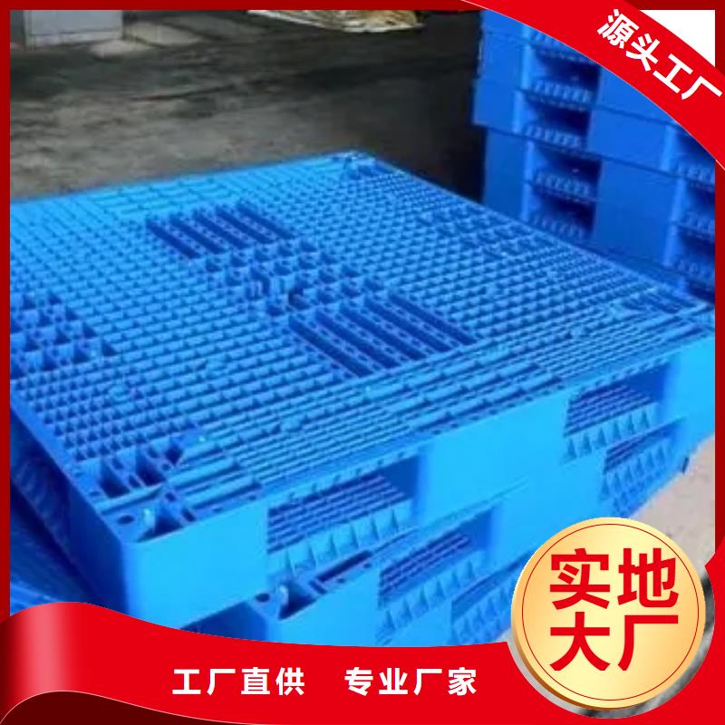 鸡舍塑料垫板定制