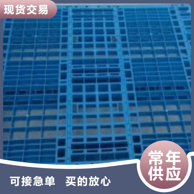 鸡舍塑料垫板现货供应-可定制