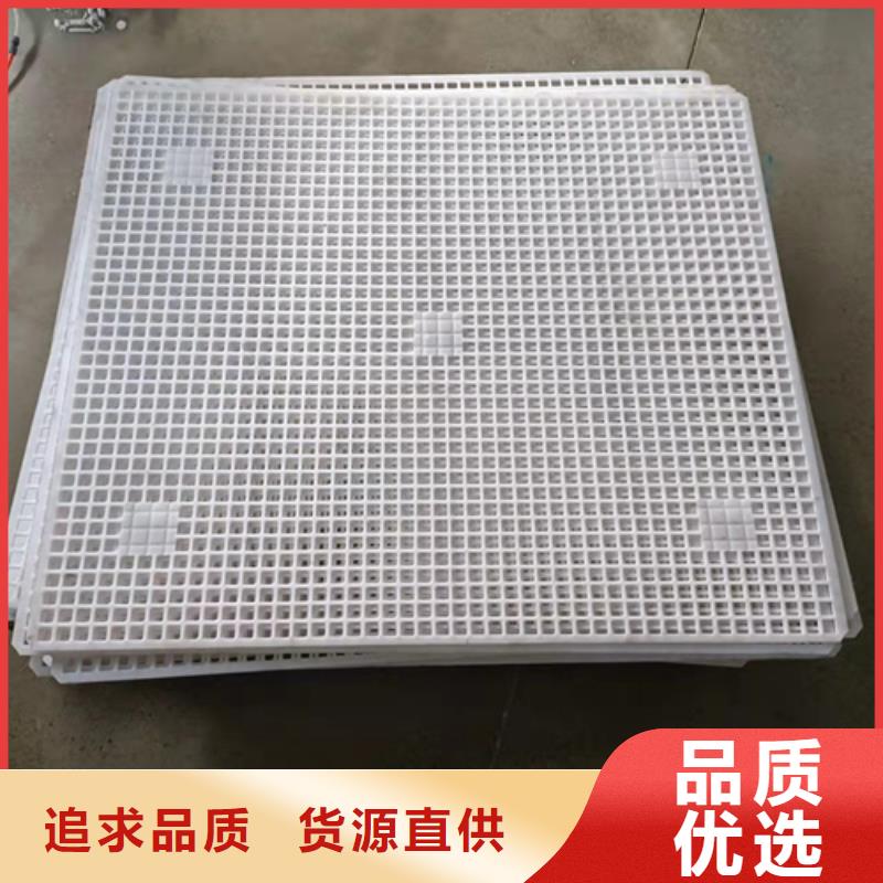 鸡舍塑料垫板价格透明