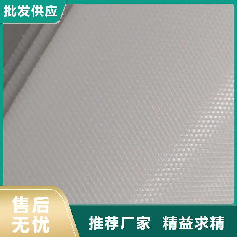 推拉器塑料滑板技术