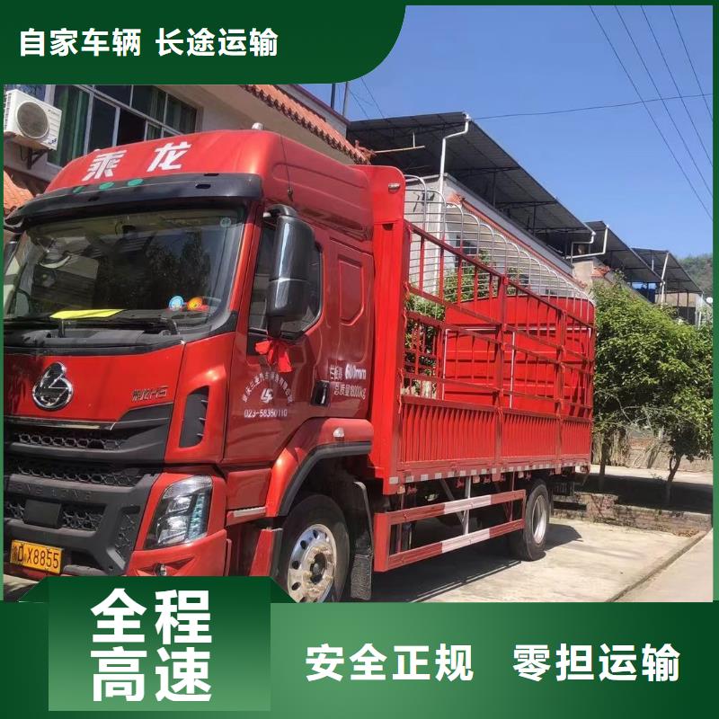 【丽水返空车_货运物流回程车返空车回头货车值得信赖】