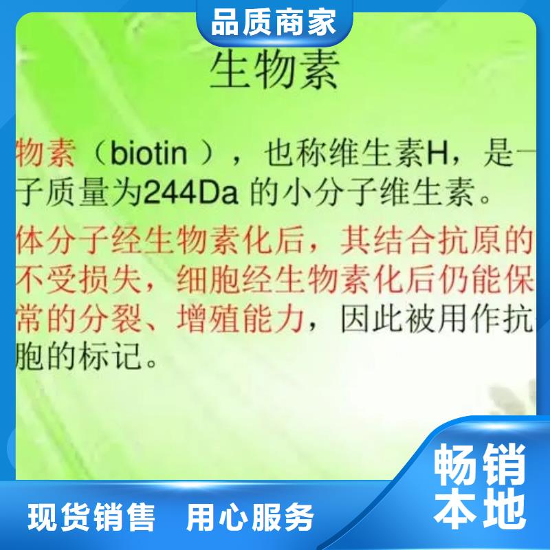 英智信【有机硅粉末消泡剂】【生物素】,消泡剂选择我们没错