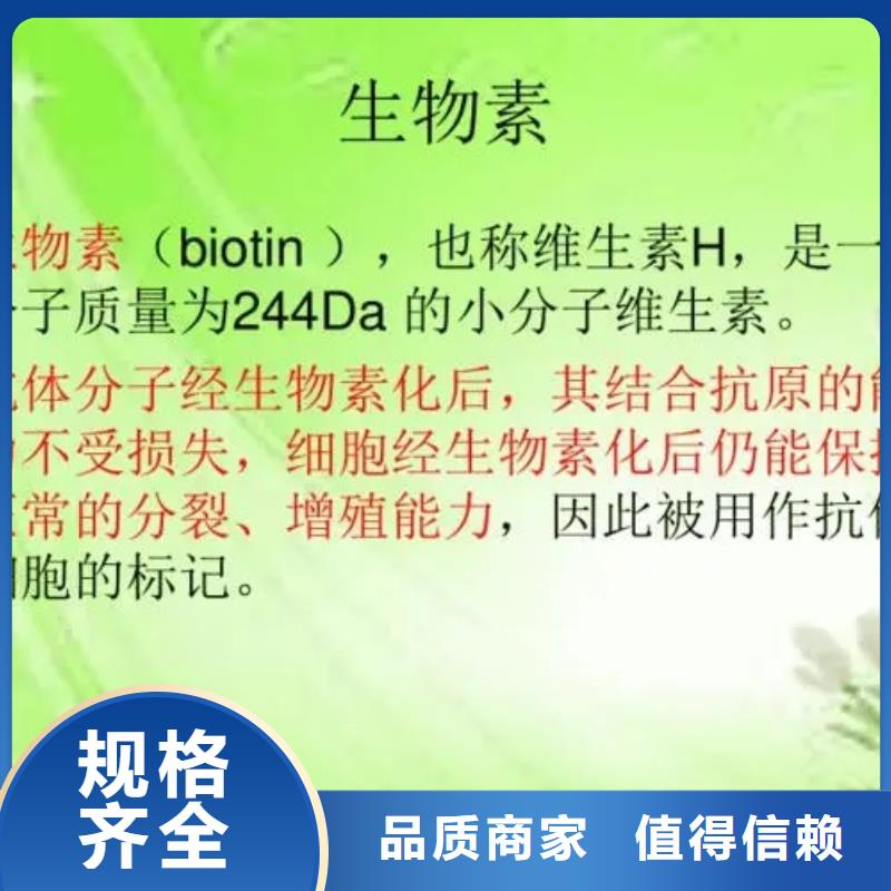 【生物素】_食品消泡剂售后服务完善英智信【有机硅粉末消泡剂】