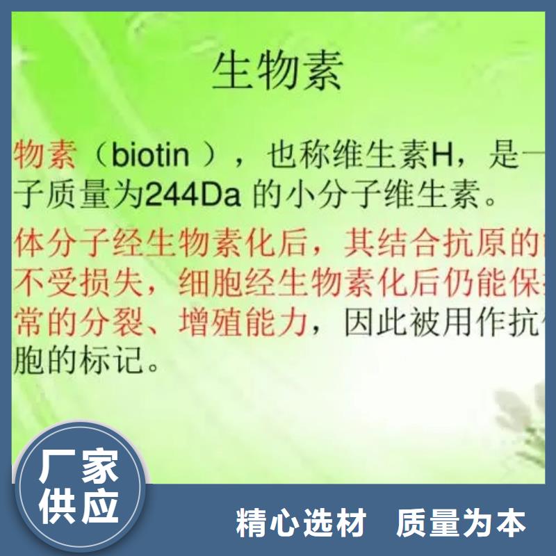 英智信【有机硅粉末消泡剂】【生物素】,消泡剂选择我们没错