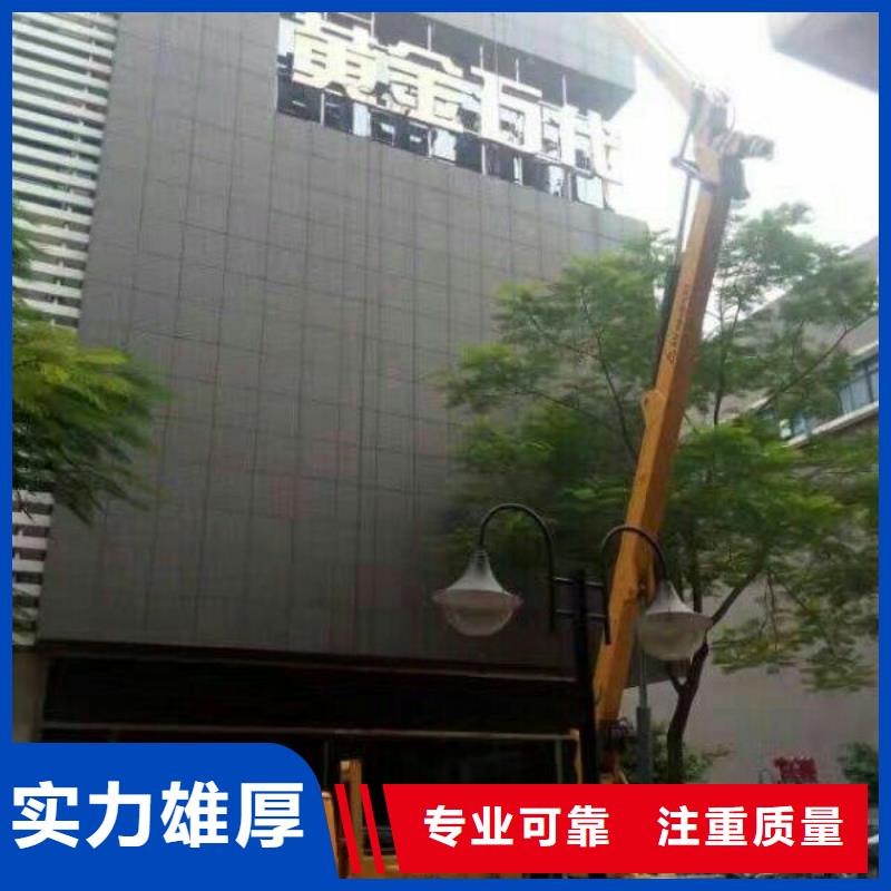 专业公司 路灯车诚信放心