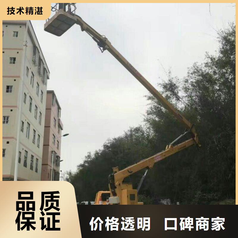 专业公司 路灯车诚信放心