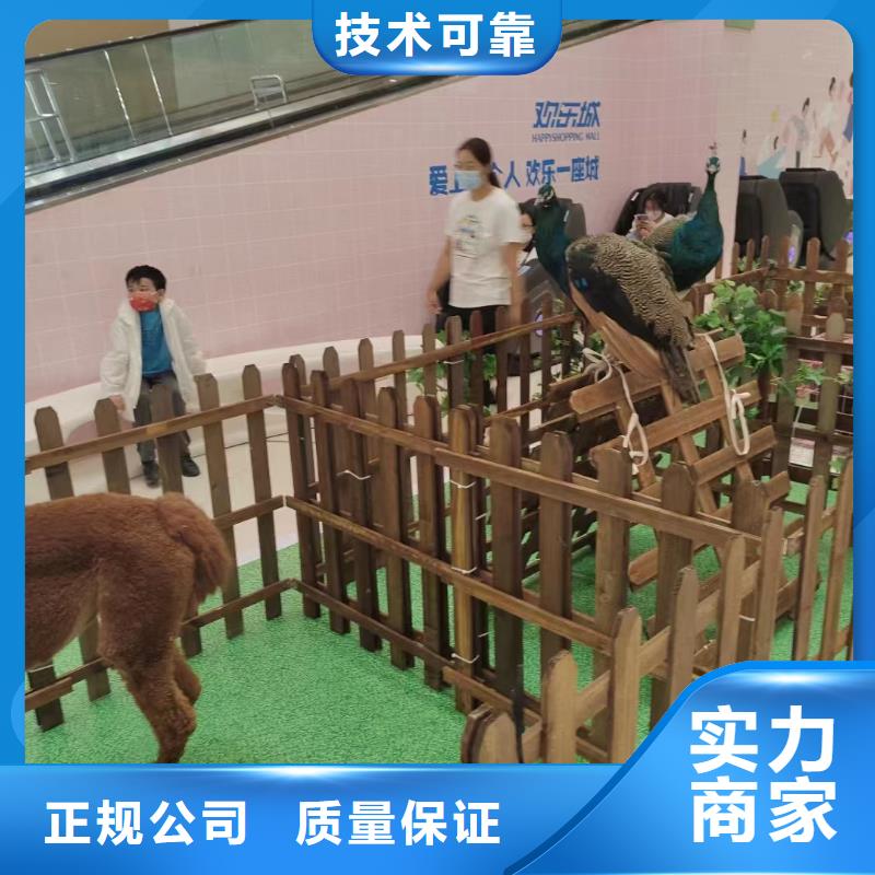 杂技表演视频-杂技表演-浙江省金华市(当地)生产商-磐安|婺城|宁波|嘉兴|舟山|丽水|台州