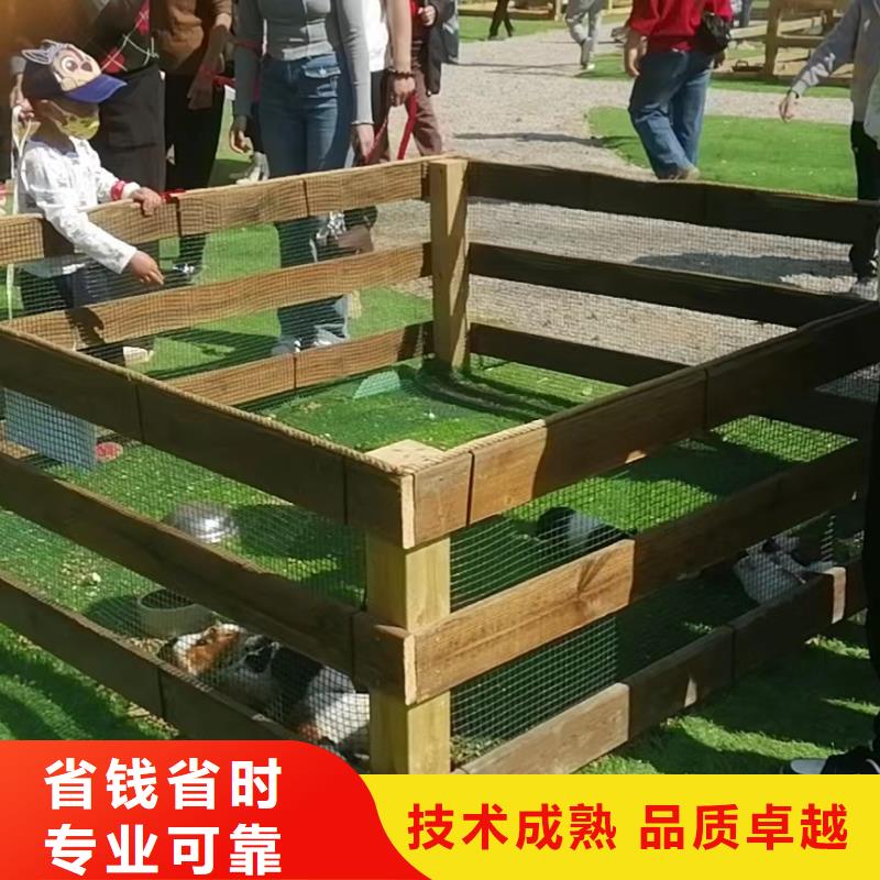 马戏团/羊驼商场马戏表演出租质优价廉