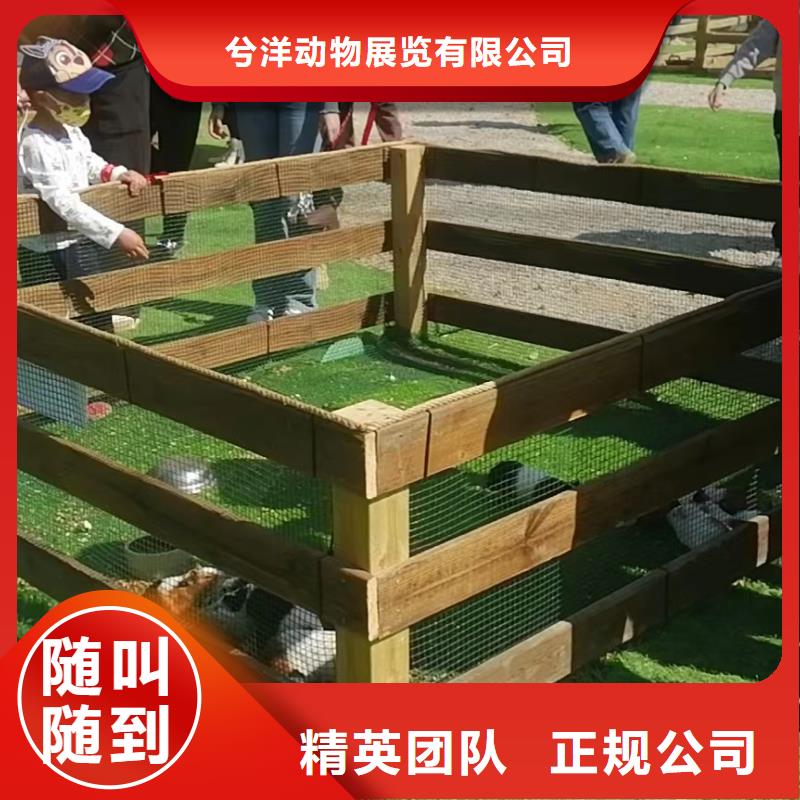 杂技表演视频-杂技表演-浙江省金华市(当地)生产商-磐安|婺城|宁波|嘉兴|舟山|丽水|台州