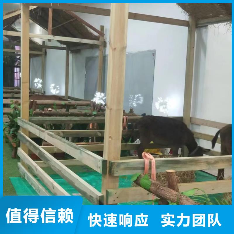 马戏团/羊驼小马戏出租匠心品质