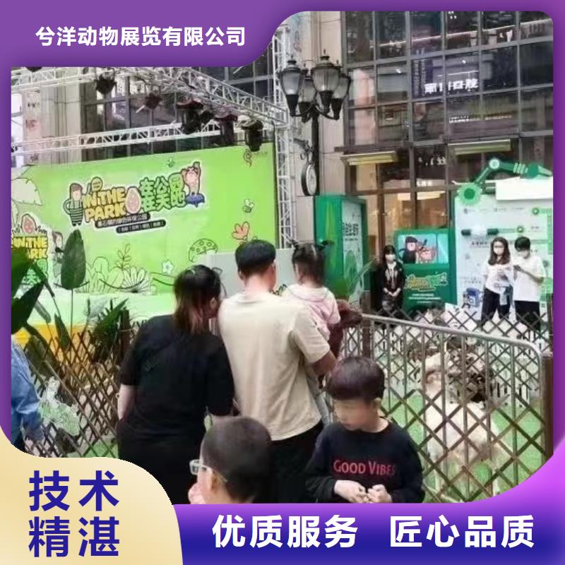 马戏团/羊驼 马戏团出租 讲究信誉