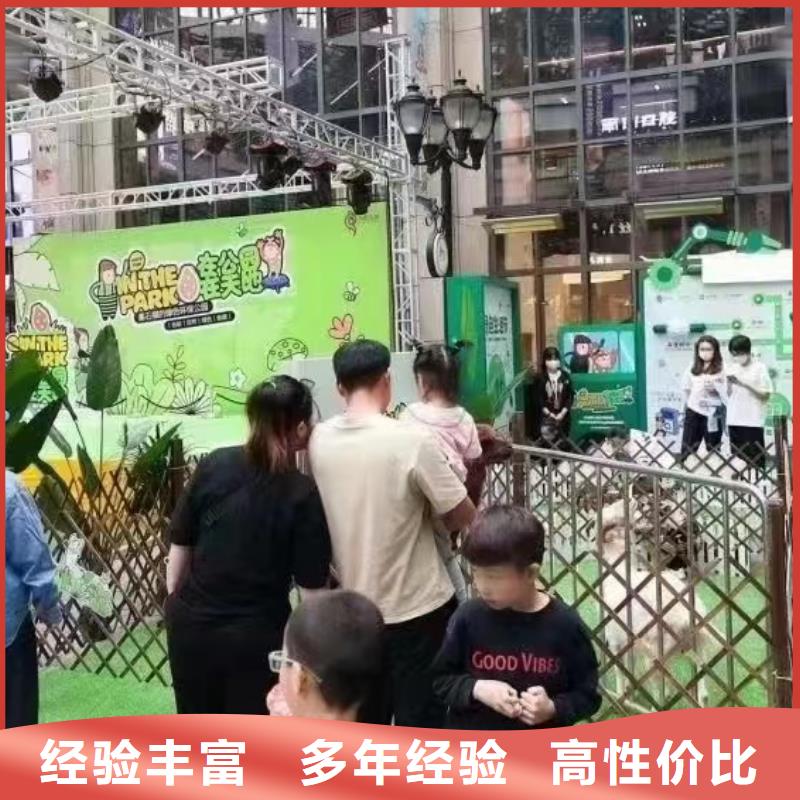 【马戏团/羊驼死轮表演有实力】