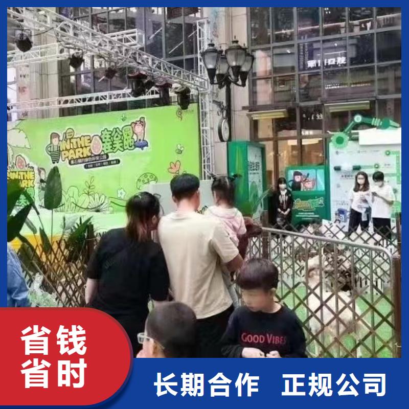 马戏团/羊驼小马戏出租质优价廉