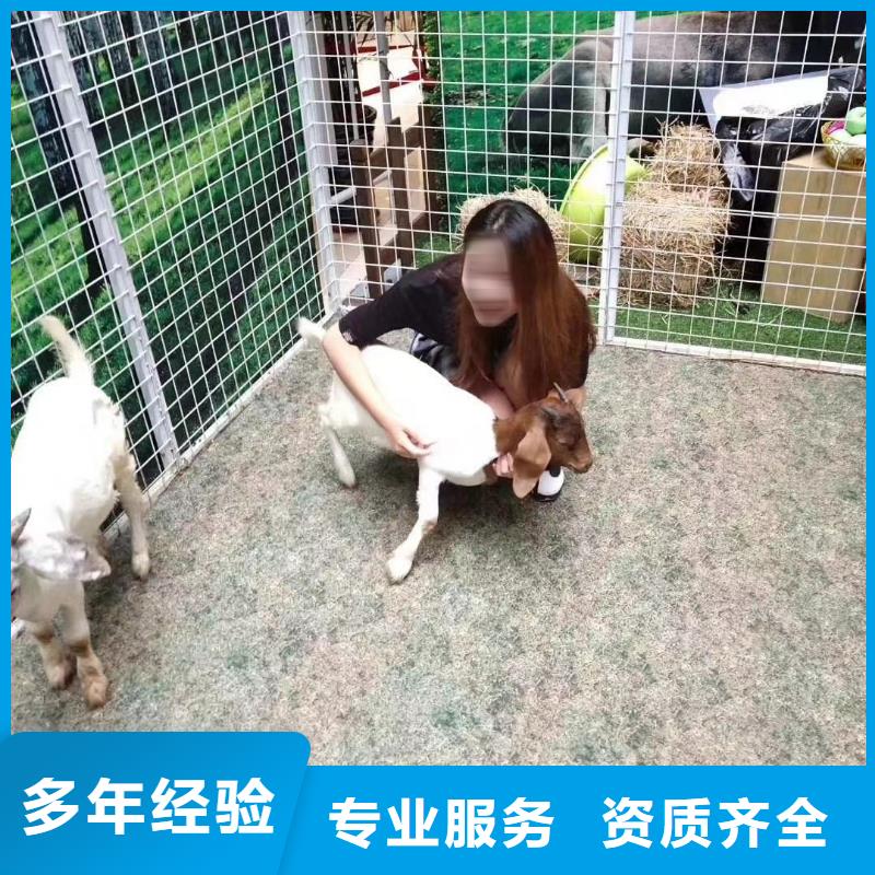 杂技表演视频-杂技表演|辽宁省抚顺市|顺城|望花|鞍山|沈阳|营口|大连