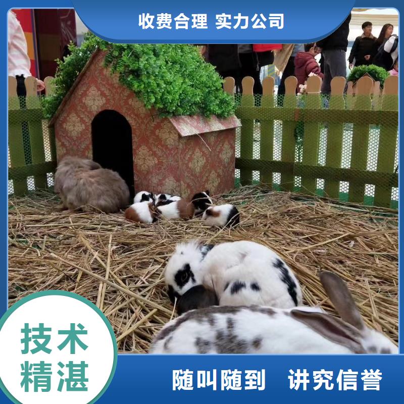 杂技表演视频-杂技表演(兮洋)覆盖地域云南省德宏|西双版纳|大理|迪庆|玉溪
