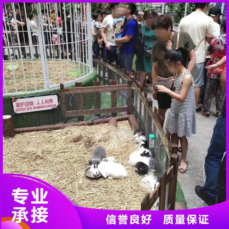 马戏团/羊驼马戏团出租 多年行业经验