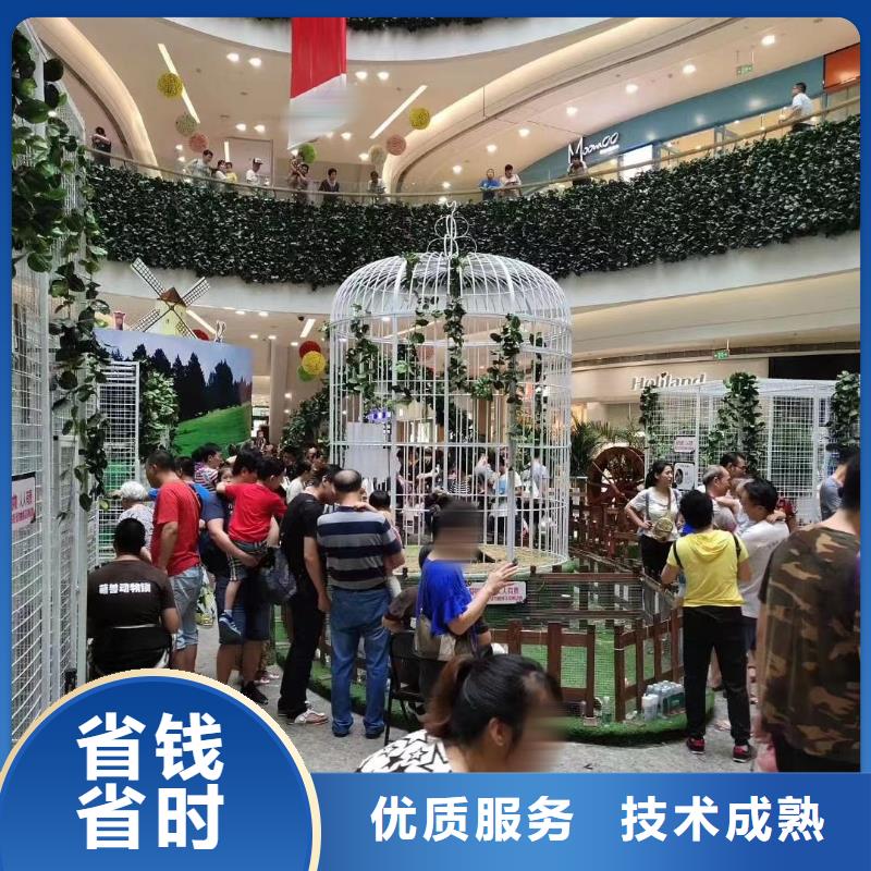 【马戏团/羊驼美人鱼表演多年经验】_兮洋动物展览(金华市分公司)