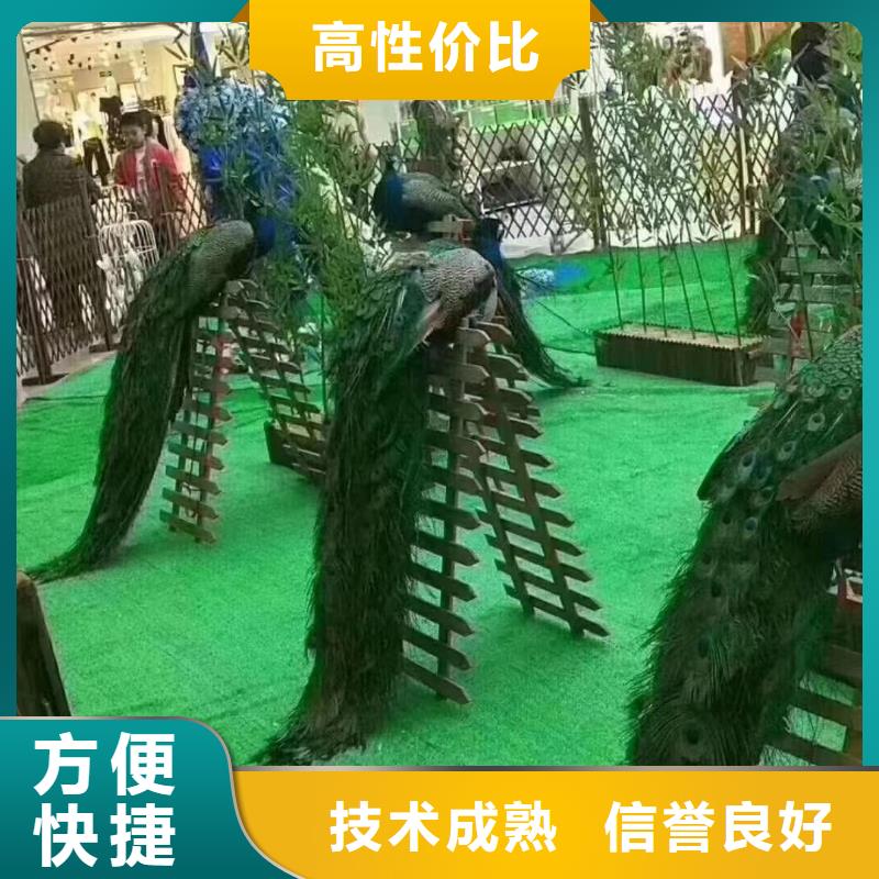 【马戏团/羊驼-羊驼出租专业公司】