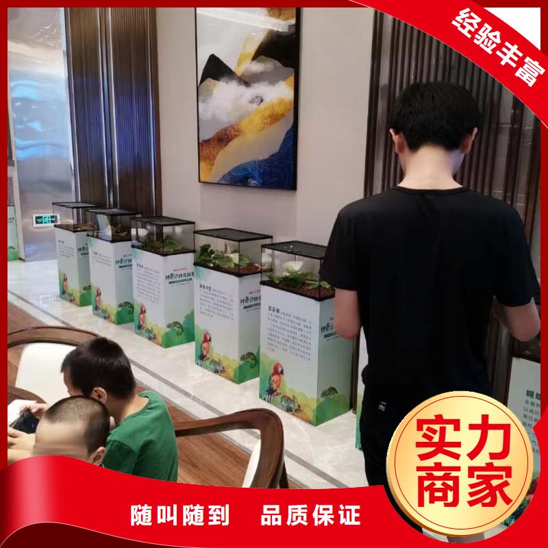 马戏团/羊驼海狮表演出租品质优