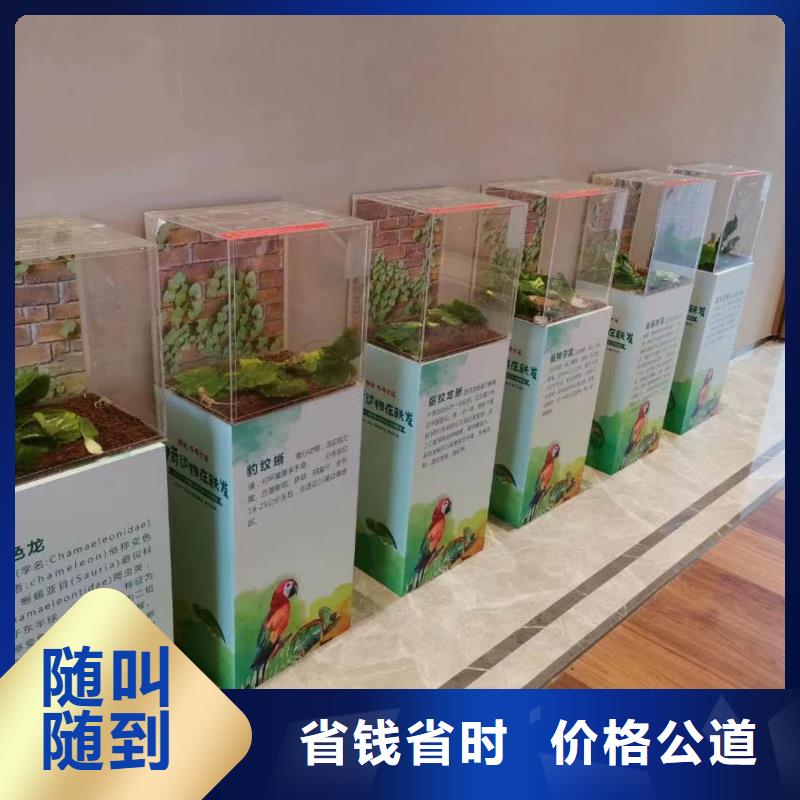 马戏团/羊驼-出租羊驼24小时为您服务