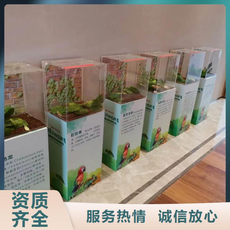 马戏团/羊驼-观赏性羊驼租赁一站式服务