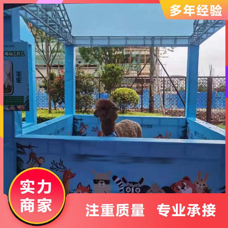 马戏团/羊驼表演动物出租值得信赖