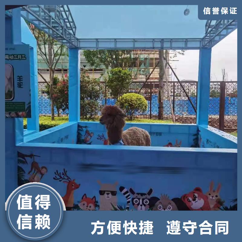 马戏团/羊驼鹦鹉表演多年行业经验