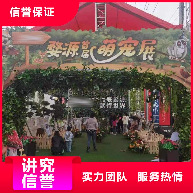 马戏团/羊驼 观赏性羊驼租赁品质保证