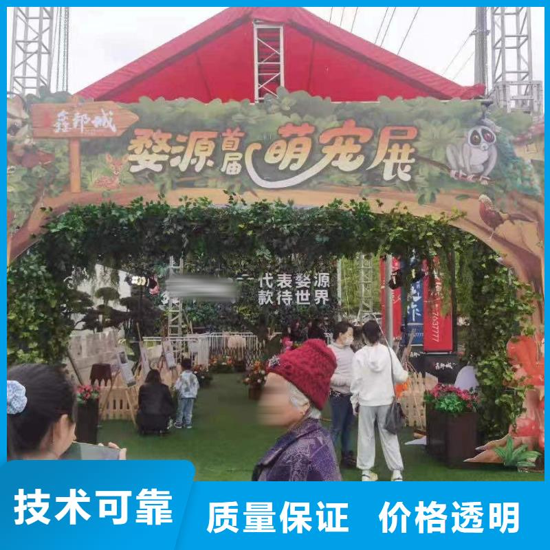 马戏团/羊驼【海狮表演租赁】价格透明