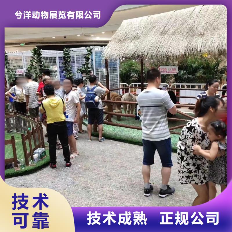 【马戏团/羊驼_海狮演出服务热情】