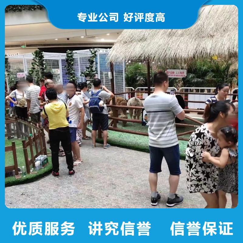 【马戏团/羊驼】鹦鹉表演租赁匠心品质