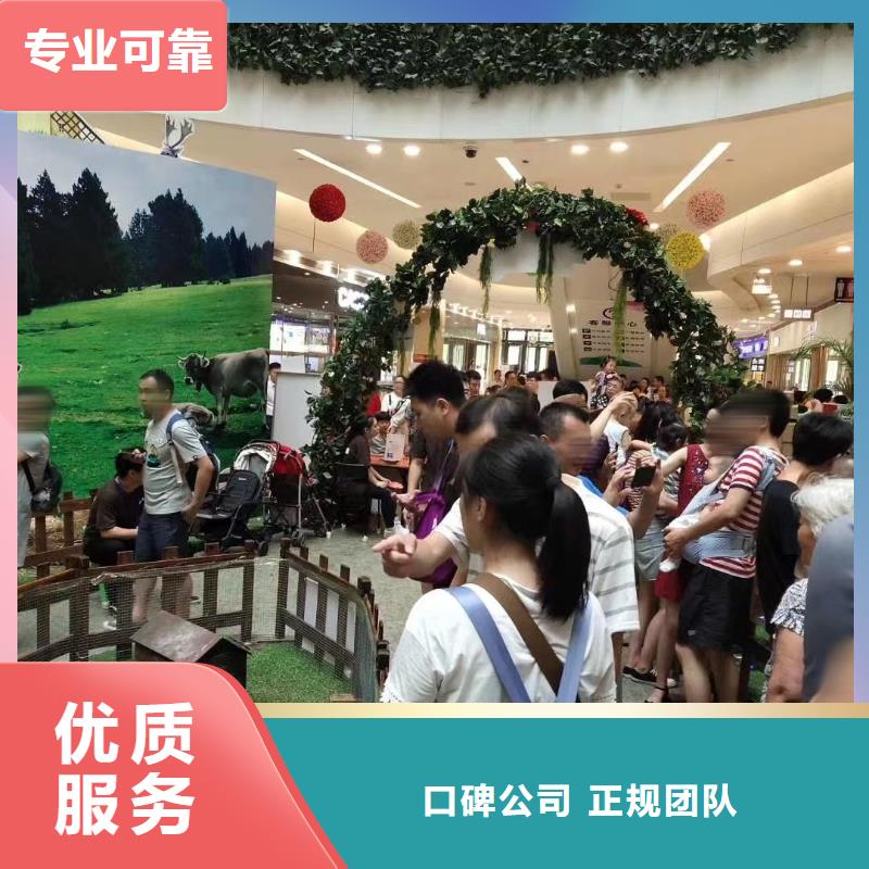 马戏团/羊驼出租羊驼方便快捷