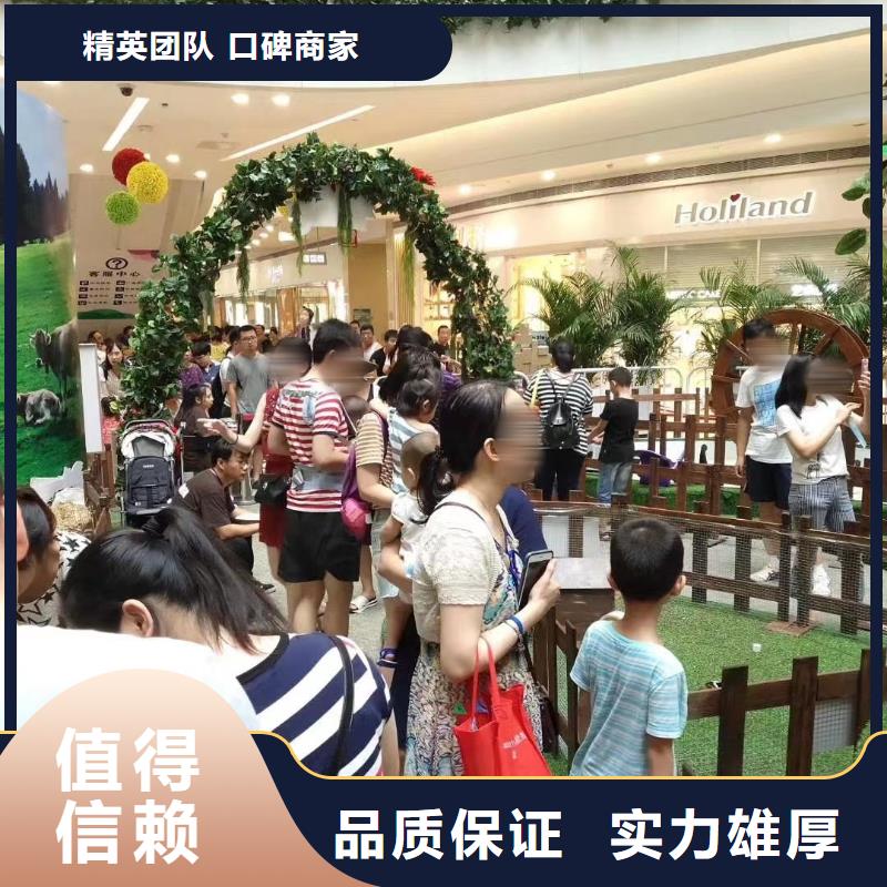 马戏团/羊驼 观赏性羊驼租赁品质保证
