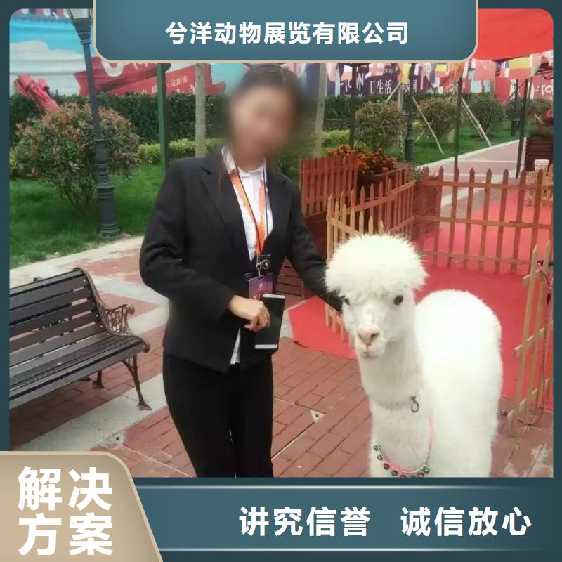 杂技表演视频-杂技表演-浙江省金华市(当地)生产商-磐安|婺城|宁波|嘉兴|舟山|丽水|台州