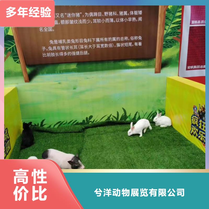 马戏团/羊驼美人鱼表演诚实守信