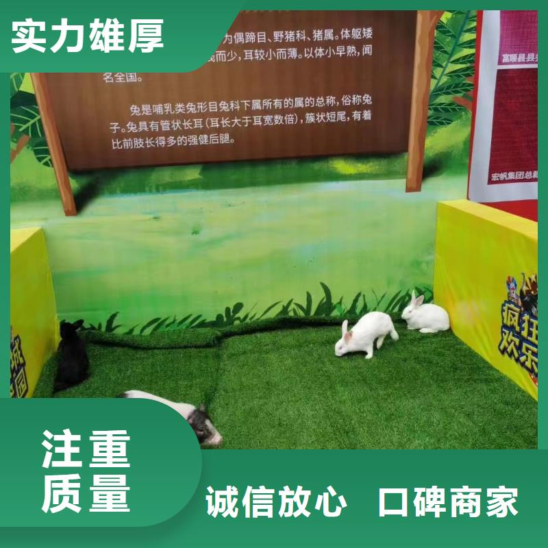 马戏团/羊驼【马戏团表演】正规公司|海丰|陆河|云浮|阳江|中山|梅州|潮州|广州aq00.com