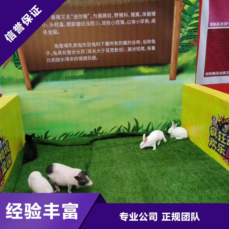 马戏团/羊驼-海狮演出实力强有保证