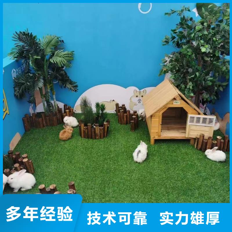 马戏团/羊驼出租马戏表演比同行便宜