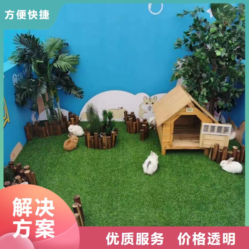 马戏团/羊驼景区杂技表演实力雄厚