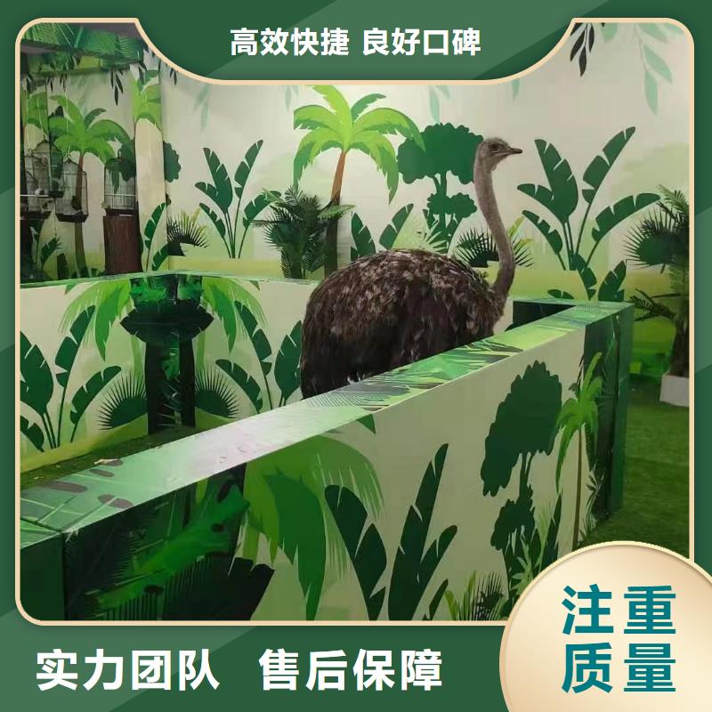 马戏团/羊驼企鹅出租先进的技术