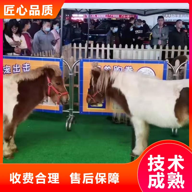 马戏团/羊驼,出租表演萌宠实力雄厚
