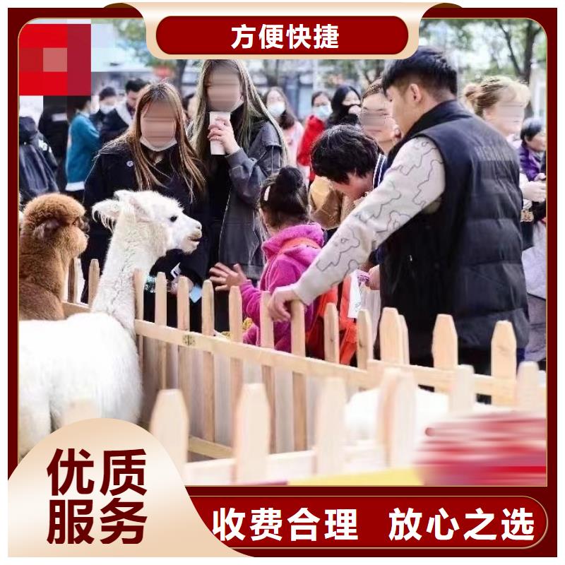 杂技表演-视频-汕尾市杂技表演-【本土】可服务区域陆河|海丰|中山|深圳|梅州|汕头|云浮|阳江