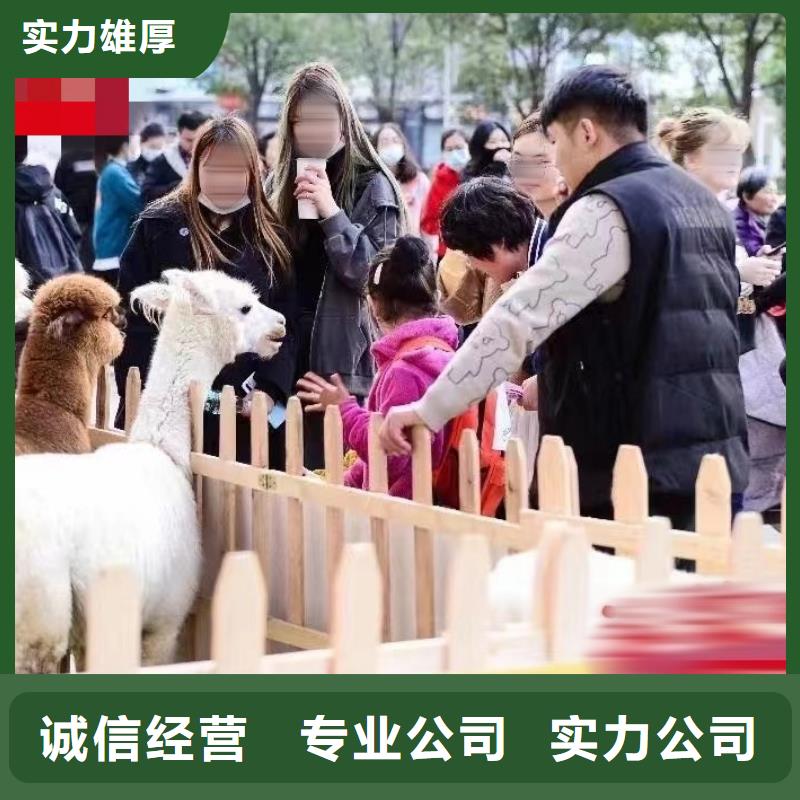 杂技表演视频-杂技表演-浙江省金华市(当地)生产商-磐安|婺城|宁波|嘉兴|舟山|丽水|台州
