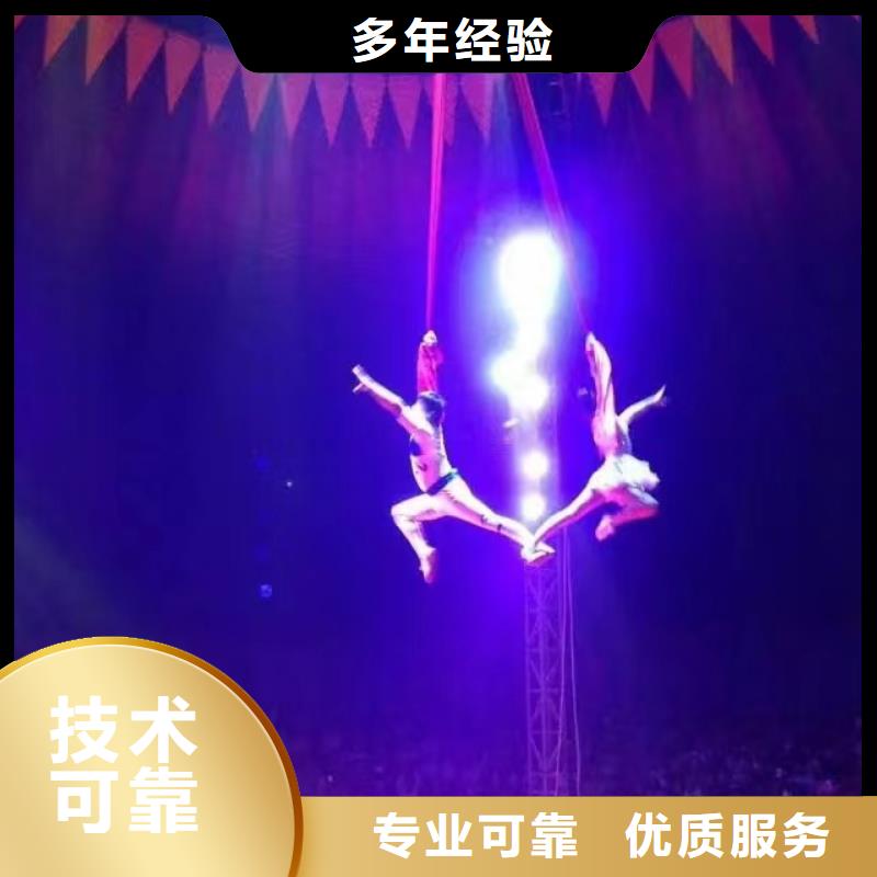 马戏团/羊驼【海狮表演租赁】
