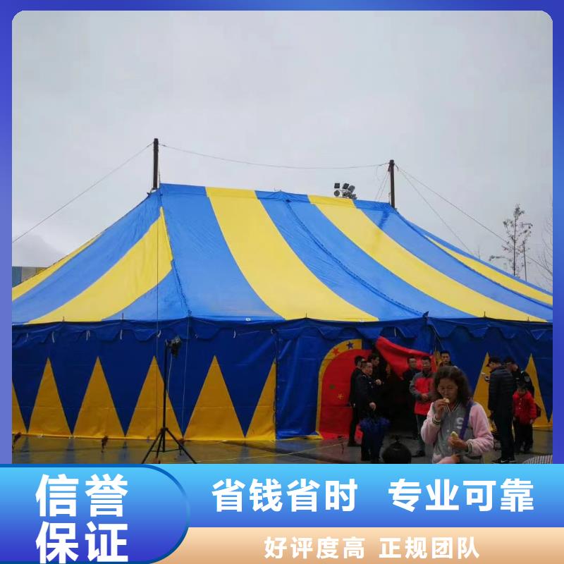 马戏团/羊驼出租羊驼2025专业的团队