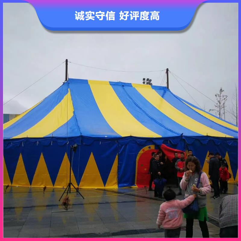马戏团/羊驼,企鹅租赁专业承接